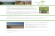 Mangrove ecosystem restoration, Senegal · Mangrove ecosystem restoration, Senegal Mangrove ecosystems are threatened everywhere and West Africa is no exception. Desertification and