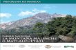 00Parque Nacional La Montaña Malinche o Matlalcuéyatl Escala Gráfica: Kilómetros Escala : 1:140,000 0 12 3 45 Tlaxcala Puebla Vía Férrea Terracería Brecha Localidades Urbanas