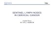 SENTINEL LYMPH NODES IN CERVICAL CANCER · 2016-08-09 · cervical cancer aims. cervical cancer regional lymph node involvement haich kd , 1994 stage i 0 - 16 % 0 - 22 % stage ii