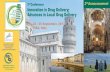 3rd Conference 2 Announcement Innovation in Drug Delivery ... Announcement Innovation in D… · on “Advances in Local Drug Delivery”, a challenging topic for the development