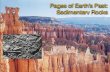 Pages of EarthÕs Past: Sedimentary Rocksthisoldearth.net/ESC101_lectures/ch06.pdf · Sedimentary Rocks Sediments are the building blocks of sedimentary rocks. Sediments are diverse,
