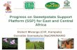 Progress on Sweetpotato Support Platform (SSP) for East ... · 3 Progress - Sweetpotato Virus Disease (SPVD) Resistance Breeding Breeding materials/ Samples 47 Families (each 30 seeds)