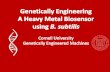 Cornell University Genetically Engineered Machines2009.igem.org/files/presentation/Cornell.pdf–Dr. Ahmed Gaballa –Dr. Kent Kemphues. Title: Cornell University Genetically Engineered