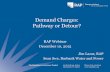 Demand Charges: Pathway or Detour? · 12/10/2015  · The Regulatory Assistance Project 50 State Street, Suite 3 Montpelier, VT 05602 Phone: 802-223-8199 Demand Charges: Pathway or