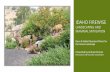 Idaho firewise landscaping and mammal mitigation · 2020-06-11 · IDAHO FIREWISE LANDSCAPING AND MAMMAL MITIGATION Deer & Rabbit Resistant Plants for ... Gray Rabbitbrush, Ericameria