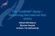 The “IceBERG” Study · The “IceBERG” Study – Preserving the internal iliac artery Michel MPJ Reijnen Rijnstate Hospital Arnhem, The Netherlands ... Other(s) I do not have