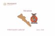 Sinaloa - stps.gob.mx · Nacional Sinaloa Periodo 19,583,170 544,213 Mayo 2020 Tasa de Desocupación (por ciento) 1/ 2.9 2.8 Marzo 2020 Conflictividad colectiva laboral en la Juridicción