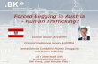 Forced Begging in Austria - Human Trafficking? · Begging in Vienna - findings period: 01.07.2013 to 31.12.2013 Victim identification: 1 Victim 33 years disabled man, secure apartment