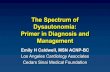 The Spectrum of Dysautonomia: Primer in Diagnosis and …womenscvdla.com/pdf_support/Caldwell_1.pdf · Dysautonomia: Symptoms • Palpitations » When standing, with position changes