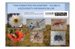 “THE FORGOTTEN POLLINATORS” FILLING A BIODIVERSITY ...biodiversityadvisor.sanbi.org/wp...2012-Colville.pdf · •NB Pollinators (Protea spp., Ac acia spp., Orchids, Asclepiads)