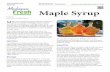 Extension Bulletin E3251 msue.anr.msu.edu/program/info/mi fresh. August 2015 Maple … · 2017-06-27 · Maple syrup is typically harvested from sugar maple and black maple trees.
