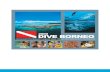 2009 DIVE BORNEO - · PDF file PADI Dive Training & Education Program Boat dive schedule: 1st boat dive - 0800am 2nd boat dive - 1100am 3rd boat dive - 1500pm † 3 boat dive combinations