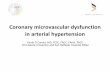 Coronary microvascular dysfunction in arterial hypertension microvascular spasm) Abbreviations: CAD,