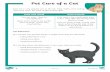 Pet Care of a Cat€¦ · Pet Care of a Cat Questions Page 3 of 3. Answers 1. What sort of food do cats need to eat? Cats need to eat meat. 2. Why do cats need clean water? Cats need