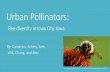 Bee diversity in Iowa City, Iowa - Iowa Initiative for ... · Bumble bees) (Joel, 2015) - Bee house - Tunnels for cavity-nesting bees (30-40%) (Joel, 2015) Development of bee-friendly