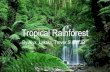 Tropical RainforestTropical Rainforest Biome The tropical rainforest is a hot, moist biome found near Earth's equator. The world's largest tropical rainforests are in South America,