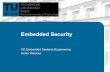Embedded Security - Institute of Computer Engineering (E191) · Some key security issues ... key 1 key 2 ciphertext Cryptography provides the tools, that underlie most modern security