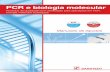 PCR e biologia molecular · 2019-09-05 · biologia molecular. Dessa maneira, esperamos facilitar o seu processo de seleção dos artigos adequados. dt 3&5 H ELRORJLD PROHFXODU 2