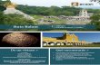 Ruta Balam > México > Desde 2.110 € + vuelo€¦ · del Usumascinta hasta llegar a la zona arqueológica de Yaxchilán (La Ciudad de la Piedra Verde), visitar la zona arqueológica