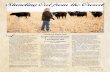 Standing Out from the Crowd - Angus Journal · Standing Out from the Crowd nne Lampe goes by many titles: mother, daughter, wife, cattlewoman, manager and secretary for the Kansas