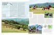 Riding high S...cular holiday is operated by the equestrian centre Equus Silvania, whose experienced German owners, Christoph and Barbara Promberger, have lived in Romania for many