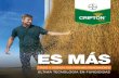 ES MÁS - cropscience.bayer.com.ar · Cripton Xpro cuenta con la tecnología Xpro de Bayer; una podero-sa solución fungicida para cereales basada en la complementariedad ... Bixafen,