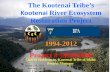 The Kootenai Tribe’s · • importance: project has become monitoring “vessel” for kootenai river, especially for lower trophics & fish community dynamics • project now has