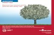 AIA-Philam-Life-Money-Tree-Regular-Brochure · Client Profile Fit A conservative client who wishes to have higher earnings compared to traditional savings ac- counts and time deposits