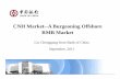 CNH Market--A Burgeoning Offshore RMB Market · RMB businesses based on the regulatory requirements and market conditions in Hong Kong, as long as these businesses do not entail the