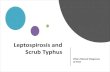 Leptospirosis and Scrub Typhus · • Differential diagnosis of Dengue, Malaria, Pneumonia, Leptospirosis, Enteric fever, ... Lab diagnosis, if available >7 days of illness