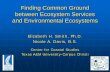 Finding Common Ground between Ecosystem Services and … · 2010-12-20 · Finding Common Ground between Ecosystem Services and Environmental Ecosystems Elizabeth H. Smith, Ph.D.