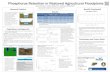 Phosphorus Retention in Restored Agricultural Floodplains · Phosphorus Retention in Restored Agricultural Floodplains Research Problem Hypotheses and Approach Results Results (Continued)