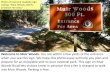 Welcome to Muir Woods. when you see this sign. We hope ... · electric vehicle charging station are on the right. Muir Woods Shuttle stop (green and white bus) is on the left. The