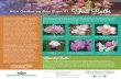 RGA Gardening Fact Sheet #1: Fall Bulbs...Bulbs can be purchased through local gardening outlets or by seed catalogue. Tulips are the most popular bulbs. Colour combinations are endless,