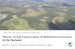 Threats to and Conservation of Wetland …...Threats to and Conservation of Wetland Environments in the Pantanal Keiichiro Y OSHIDA (Yokohama National University, Japan) - Japan-Brazil
