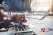 2019 Business Finance Survey: SMEs · 2020-03-02 · @britishbbank 3 Background In 2012, BIS commissioned a new survey exploring the stages SMEs go through when considering the need
