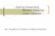 Spring Cleanses - Master Cleanse - Liver Cleanse€¦ · Salt Water Flush (Master Cleanse) This ORAL ENEMA will flush out: Entire digestive track including colon from top to bottom
