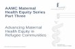 AAMC Maternal Health Equity Series Part Three Presentation title … · 2020-06-26 · Presentation title goes here Subtitle of Presentation AAMC Maternal Health Equity Series Part