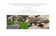 CLIMATE AND HABITAT FACTORS AFFECTING AMERICAN PIKA ... · CLIMATE AND HABITAT FACTORS AFFECTING AMERICAN PIKA POPULATIONS AND HABITAT USE IN THE NORTH CASCADES NATIONAL PARK SERVICE