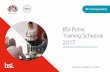 1a. Publish BSI Public Training Schedule 2017 Implementing ISO 31000 Risk Management 2 3,300,000 23-24
