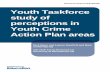 Youth Taskforce study of perceptions in Youth Crime Action Plan …€¦ · 1 . 1 . Introduction: Youth Crime and Anti-Social Behaviour as Policy Issues . In 2008, a comprehensive