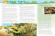 Bartlett Tree Tips - Autumn 2017 · Fun with trees Getting crafty with branches Pick up some branches on your next autumn walk and come home ready for a craft project! Armed with