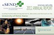 Leading Sustainable Energy Research, Education and Outreach at … · 2020-06-24 · Contents This report highlights cSEND’s significant accomplishments and contributions to energy-related