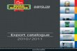 Export catalogue 2010 / 2011 · 2019-12-10 · Fire Protective Safes ... Gun cabinets .....112 Safety cabinets Royal .....114 Safety cabinets Ofﬁ ceLine .....118 Document safes