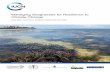 Managing Seagrasses for Resilience to Climate Change€¦ · Fact Box 1: Textbooks on Seagrasses For more extensive background information about the biology and ecology of seagrasses,