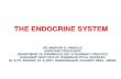 THE ENDOCRINE SYSTEM - sips.org.in€¦ · Endocrine Organs Purely endocrine organs Pituitary gland Pineal gland Thyroid gland Parathyroid glands Adrenal: 2 glands Cortex Medulla
