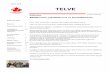 TELVE - Turkish Society of Canada | Turkish Society of Canadathat your resume will cover everything and if they are interested they should call you. Go after them all the time, you