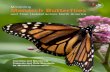 Monitoring Monarch Butterflies...Annual monarch life cycle, threats and associated priority trinational monitoring questions 13 Figure 3. Structure of Monarch Butterfly National Monitoring