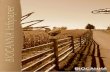 History of farming - Gator Hydroponicsgatorhydroponics.com/wp-content/uploads/2013/09/BIOCANNA-Info… · History of farming Farming started 12,000 years ago, at the end of the last