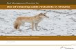 Best Management Practices foraddress livestock predation concerns from coyote and wolf, while reducing incidental capture of non-target species and improving animal welfare of animals